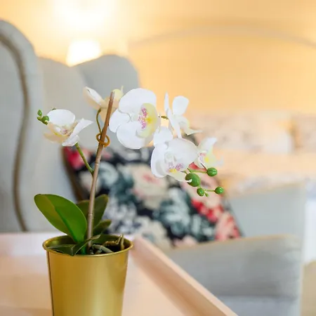Turciansky Dvor - Turiec Guest house 3*